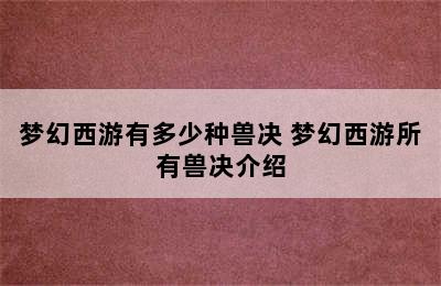 梦幻西游有多少种兽决 梦幻西游所有兽决介绍